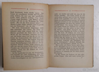 Der König dem alle leben 1919 - 5