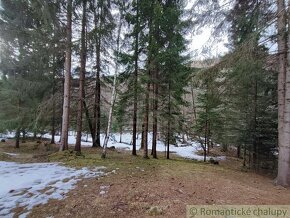 Pozemok pri potoku v lese, Nízke Tatry - 5