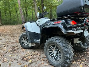 Arctic Cat XT 1000 4x4 - 5