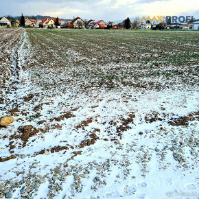 Na predaj pozemok v obci Žabokreky. - 5