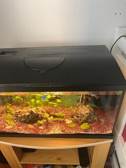 Predam 60 l akvarium - 5