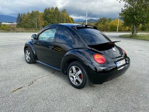 New Beetle - 5