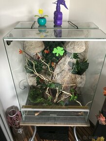 Terarium - 5