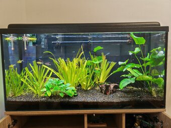 Akvarium 200l - 5