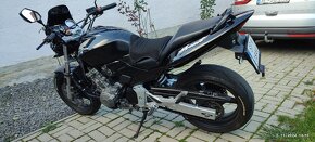 Honda Hornet 600 - 5