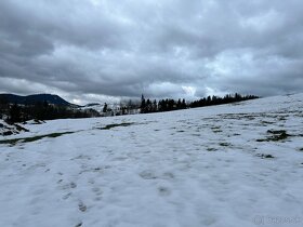 Na predaj pozemok Dolný Kubín, Pucov (pozemok Orava) - 5