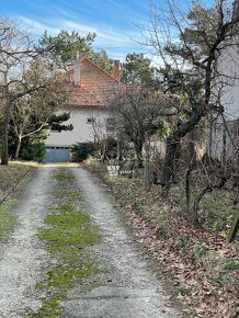 Rodinný dom na predaj v očarujúcom prostredí viníc v Modre - 5