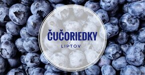 Čučoriedky - 5