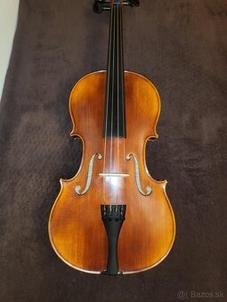 Viola - 5