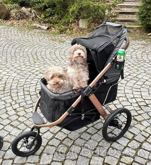 Kočík pre psa PetBuggy do 23 Kg - 5