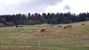 ID: 051-14-STK Pozemok v Liptovskom Mikuláši časť Okoličné n - 5