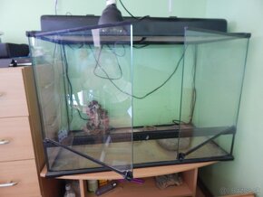 Terarium 90 x 60 x 45 cm - 5