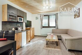 Zabehnuté apartmány so súkromným wellness Svätý Anton - 5