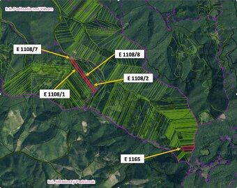 Podhradie (MT) – 19.000 m2 ORNÁ PÔDA a LES - Na predaj - 5