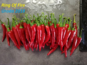 Moruga Scorpion, Ring Of Fire, Satan's Kiss - 5