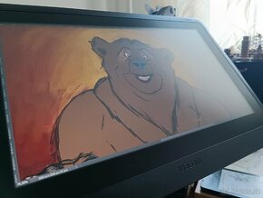 Wacom Cintiq 16 - 5