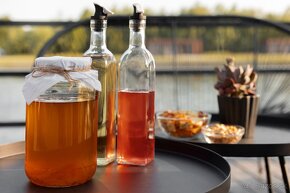 Kombucha čajová huba - SCOBY - 5