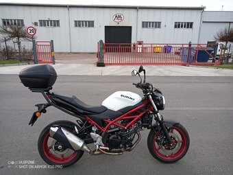 SUZUKI SV 650 - 5