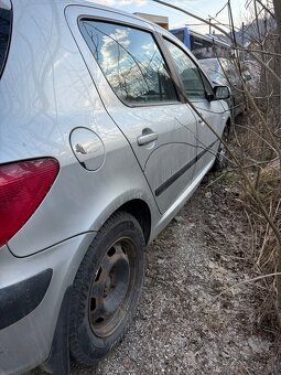 Peugeot 307 - 5