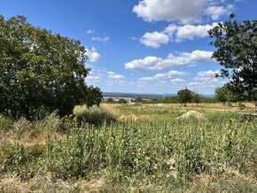 Predaj pozemku 2573 m2 na výstavbu vinohrad. domu, SKALICA - 5