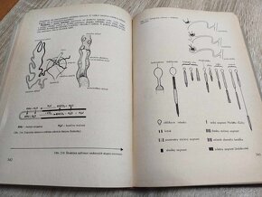 Fyziológia živočíchov a človeka--1980-- Paulov Štefan--počet - 5