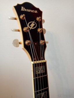 Ibanez AK 100NT - 5