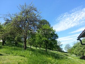 Zvýhodnená cena Predám pozemky a dom s veľkou záhradou Skali - 5