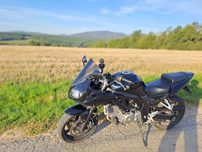 SUZUKI Sv 650 - 5