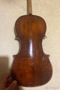 Viola-39 - 5