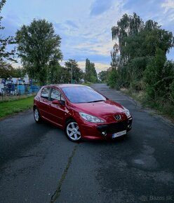 Peugeot 307 180 Platinum - 5