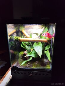 Terarium Exo terra - 5