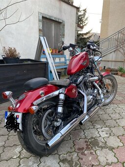 Harley Davidson sportster 1200 - 5