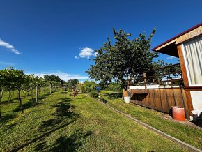 Rekreačná chatka s vinicou v Žemberovciach - 5