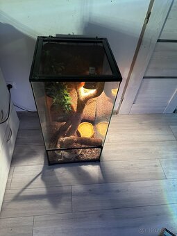 Terarium+agama - 5