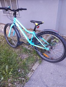 Dema iseo "24", juniorský horský bicykel - 5