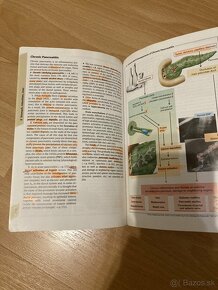 Pharmacology and Color Atlas of Pathophysiology - 5