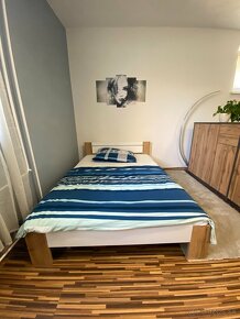 Plne zariadený 1 izbový apartmán pri veterine - 5