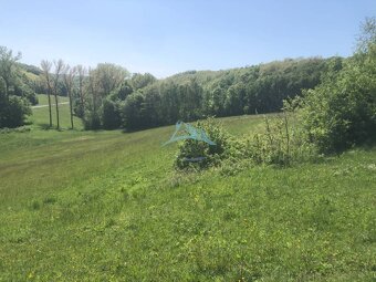 Pekný pozemok (3,2ha) na Hrušove okres Veľký Krtíš. - 5