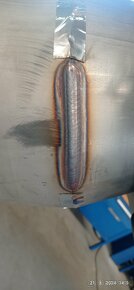 TIG , MMA , CO2 - 5