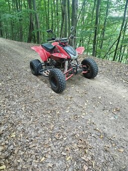 Honda TRX 400 - 5