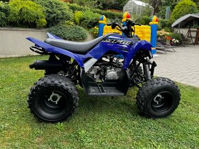 Yamaha Raptor 90 - 5