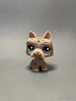 Littlest pet shop - 5