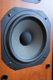 Focal JMLab Chorus 710 - 5