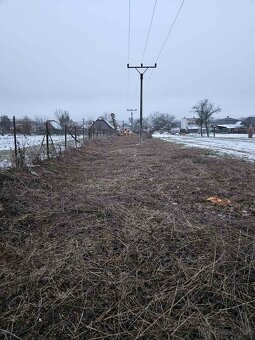 Čistenie pozemkov, orez a výrub stromov - 5