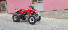 Honda Trx 250 2009 - 5