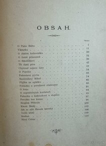 Bozena Nemcova - Bachorky a povesti 1892/3 - 5