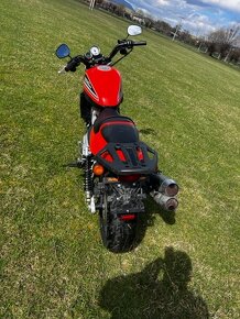 Harley Davidson Sportster XR1200 - 5