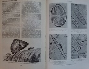 Naučný geologický slovník II. díl N-Ž - 5