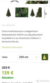 Predám vianočný stromček Borovica Alica zelená 220cm - 5