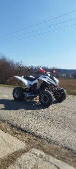 Yamaha Raptor 350 2007 - 5